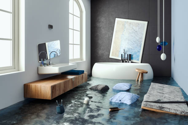 Best Water damage repair service  in Sheridan, IL