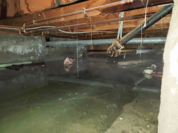 Best Residential water damage restoration  in Sheridan, IL