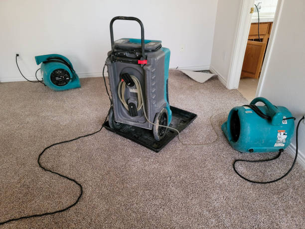 Best Carpet water damage restoration  in Sheridan, IL