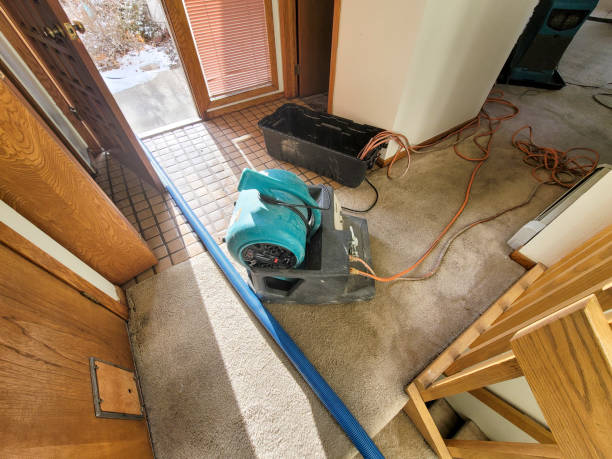 Best Water damage restoration near me  in Sheridan, IL