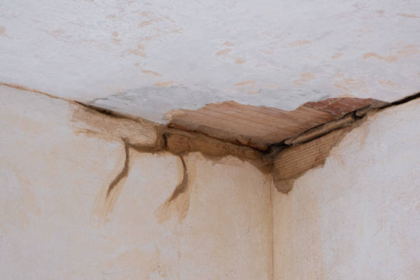 Best Basement water damage restoration  in Sheridan, IL