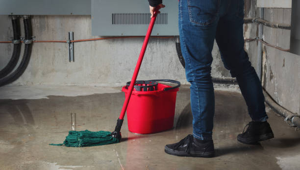 Best Emergency water damage restoration  in Sheridan, IL
