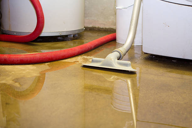  Sheridan, IL Water damage restoration Pros
