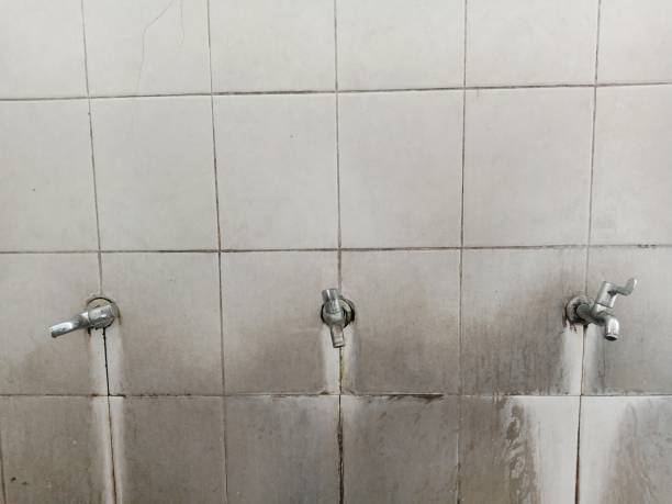 Best Ceiling water damage repair  in Sheridan, IL