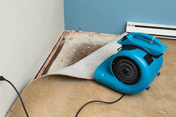 Best Flooded house restoration  in Sheridan, IL